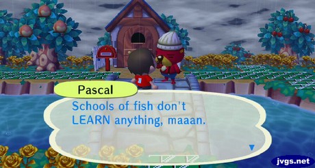 Pascal: Schools of fish don't LEARN anything, maaan.