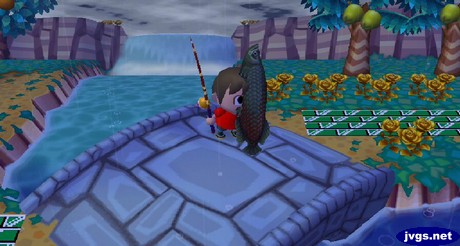 I catch an arapaima from my bridge in front of the waterfall.