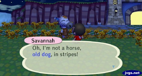 Savannah: Oh, I'm not a horse, old dog, in stripes!