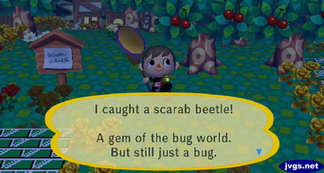 I caught a scarab beetle! A gem of the bug world. But still just a bug.