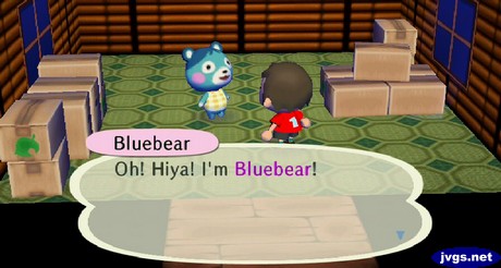 Bluebear: Oh! Hiya! I'm Bluebear!