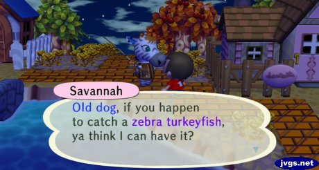 Savannah: Old dog, if you happen to catch a zebra turkeyfish, ya think I can have it?