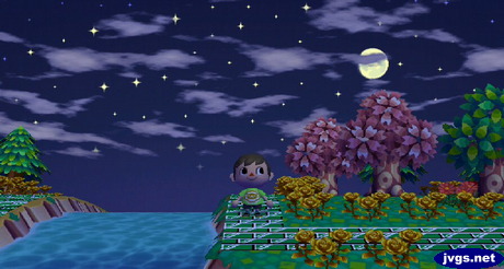 A night picture of Forest showing two pink trees.