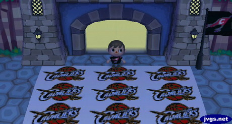 My Cleveland Cavaliers logo pattern near my gate.