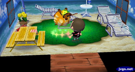 Bud the lion flips as he takes medicine in ACCF.