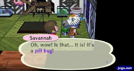 Savannah: Oh, wow! Is that... It is! It's a pill bug!