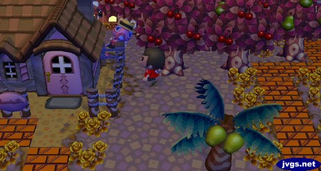 Franklin the turkey hides behind a house during the harvest festival.