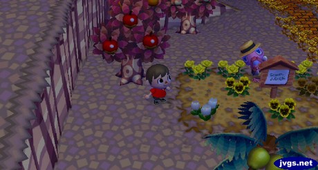 Franklin hides behind a sign post during the harvest festival in Animal Crossing: City Folk.