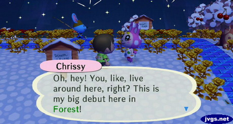 Chrissy: Oh, hey! You, like, live around here, right? This is my big debut here in Forest!