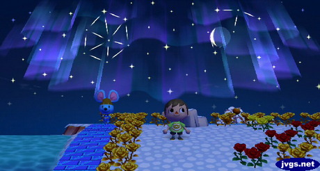 The northern lights in the night sky above Forest.