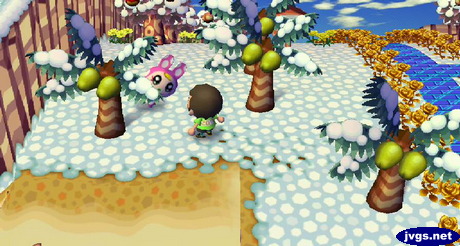 Chrissy leaning out from behind a palm tree.