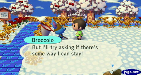 Broccolo: But I'll try asking if there's some way I can stay!