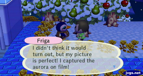 Friga: I didn't think it would turn out, but my picture is perfect! I captured the aurora on film!
