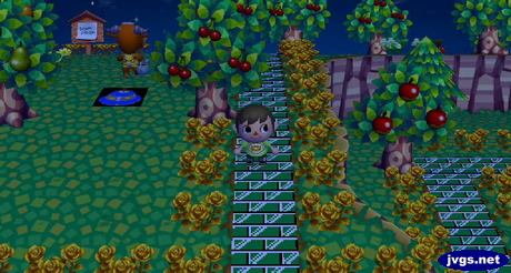 Green grass and my green brick path.