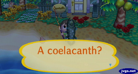 A coelacanth?