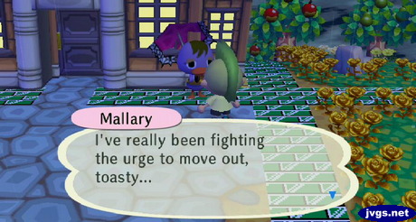 Mallary: I've really been fighting the urge to move out, toasty...