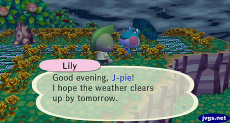 Lily: Good evening, J-pie! I hope the weather clears up by tomorrow.