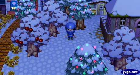 Christmas lights on cedar trees in Animal Crossing: City Folk (ACCF).