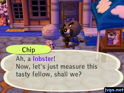 Chip: Ah, a lobster! Now, let's just measure this tasty fellow, shall we?
