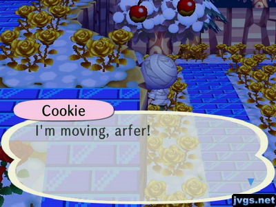 Cookie: I'm moving, arfer!