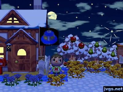 My pattern of Gulliver's UFO on the flagpole at my house in Animal Crossing: City Folk.