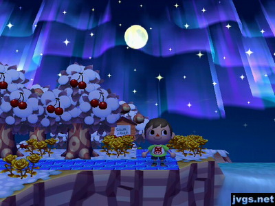 The northern lights in ACCF.