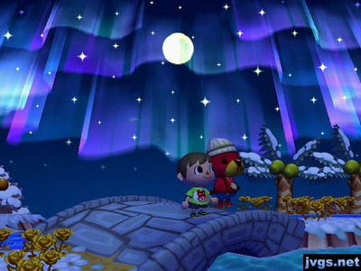 Me standing next to Pascal on the bridge, beneath the northern lights.