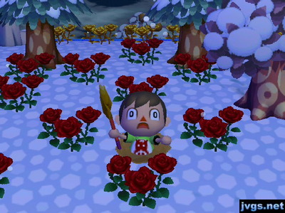 Me struggling to get out of a pitfall, surrounded by red roses.
