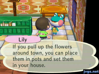 Lily: If you pull up the flowers around town, you can place them in pots and set them in your house.