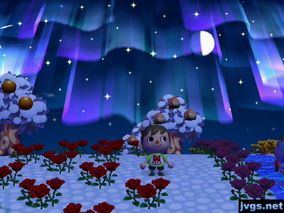 The northern lights in Animal Crossing: City Folk for Wii.