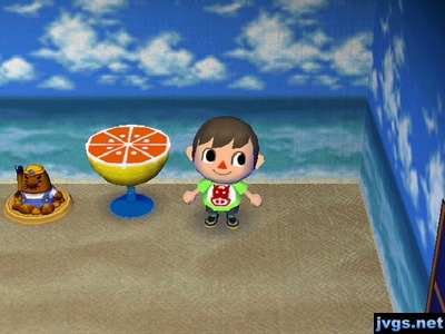 A grapefruit table on display in my house.