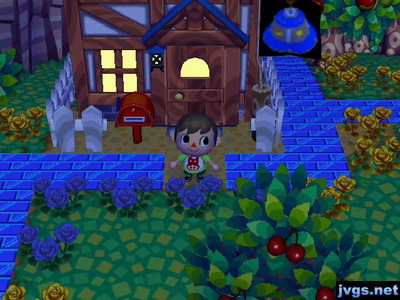 Green grass has returned!