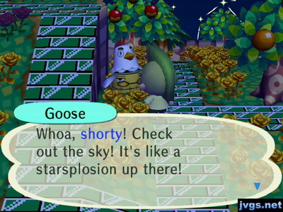 Goose: Whoa, shorty! Check out the sky! It's like a starsplosion up there!