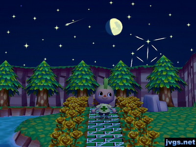 I watch a shooting star fly by overhead from Pac-Man Pond Park.