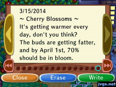 ~Cherry Blossoms~ It's getting warmer every day, don't you think? The buds are getting fatter, and by April 1st, 70% should be in bloom.