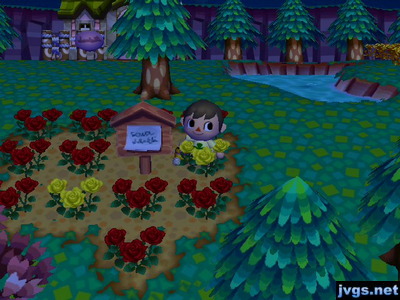 Flowers planted in the spot where Nate's house used to be.