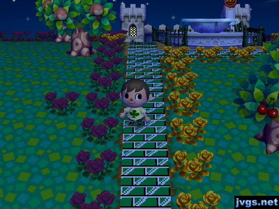 A new black rose appears among my other flowers.