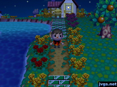 Two red roses along my path, among black and gold roses.