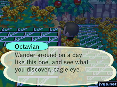 Octavian, standing out of sight behind a cliff: Wander around on a day like this one, and see what you discover, eagle eye.