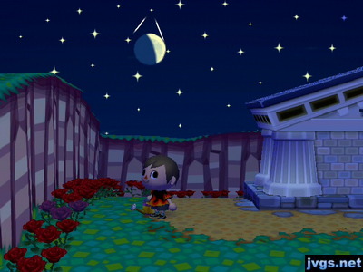 A new black rose among red roses by my museum.