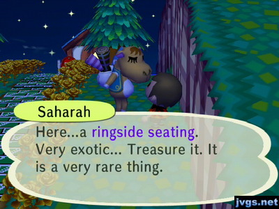 Saharah: Here...a ringside seating. Very exotic... Treasure it. It is a very rare thing.