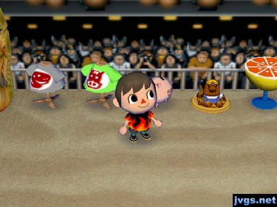 The ringside seating wallpaper on display in my house.