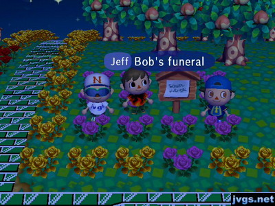 Jeff, standing by purple roses at a house plot: Bob's funeral.