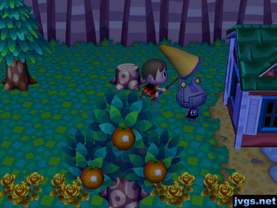Me using my net to try to catch Ribbot, the robotic frog villager.
