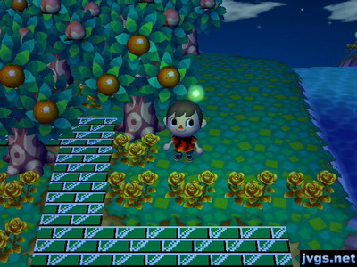 A firefly near me lights up my face and the surrounding area.