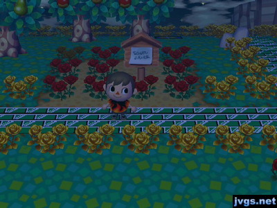 Red roses planted in the spot where Moe's house was.