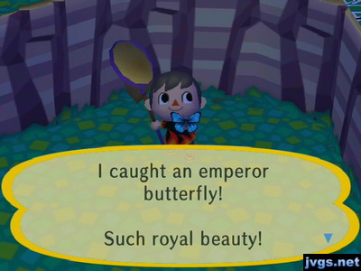 I caught an emperor butterfly! Such royal beauty!