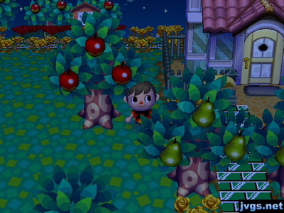 Mallary's house on top of my paths.