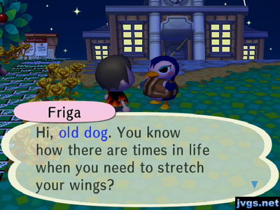 Friga: Hi, old dog. You know how there are times in life when you need to stretch your wings?