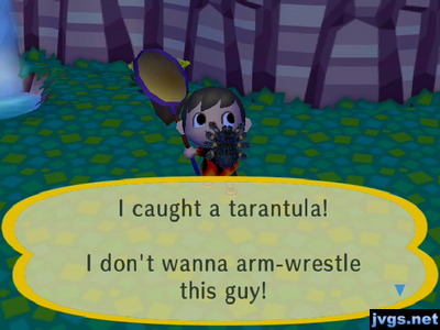 I caught a tarantula! I don't wanna arm-wrestle this guy!